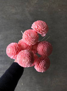 Sola Flower Middle Pink (Pres) - Market Blooms