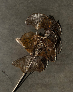 Artificial Ginko leaf golden - Market Blooms