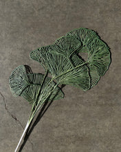 Load image into Gallery viewer, Artificial Ginko Leaf Dark Green - Market Blooms