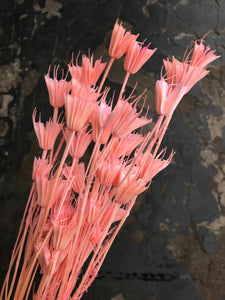 Octagon Flower - Market Blooms