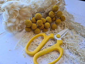 Sakagen Snips - Yellow - Market Blooms