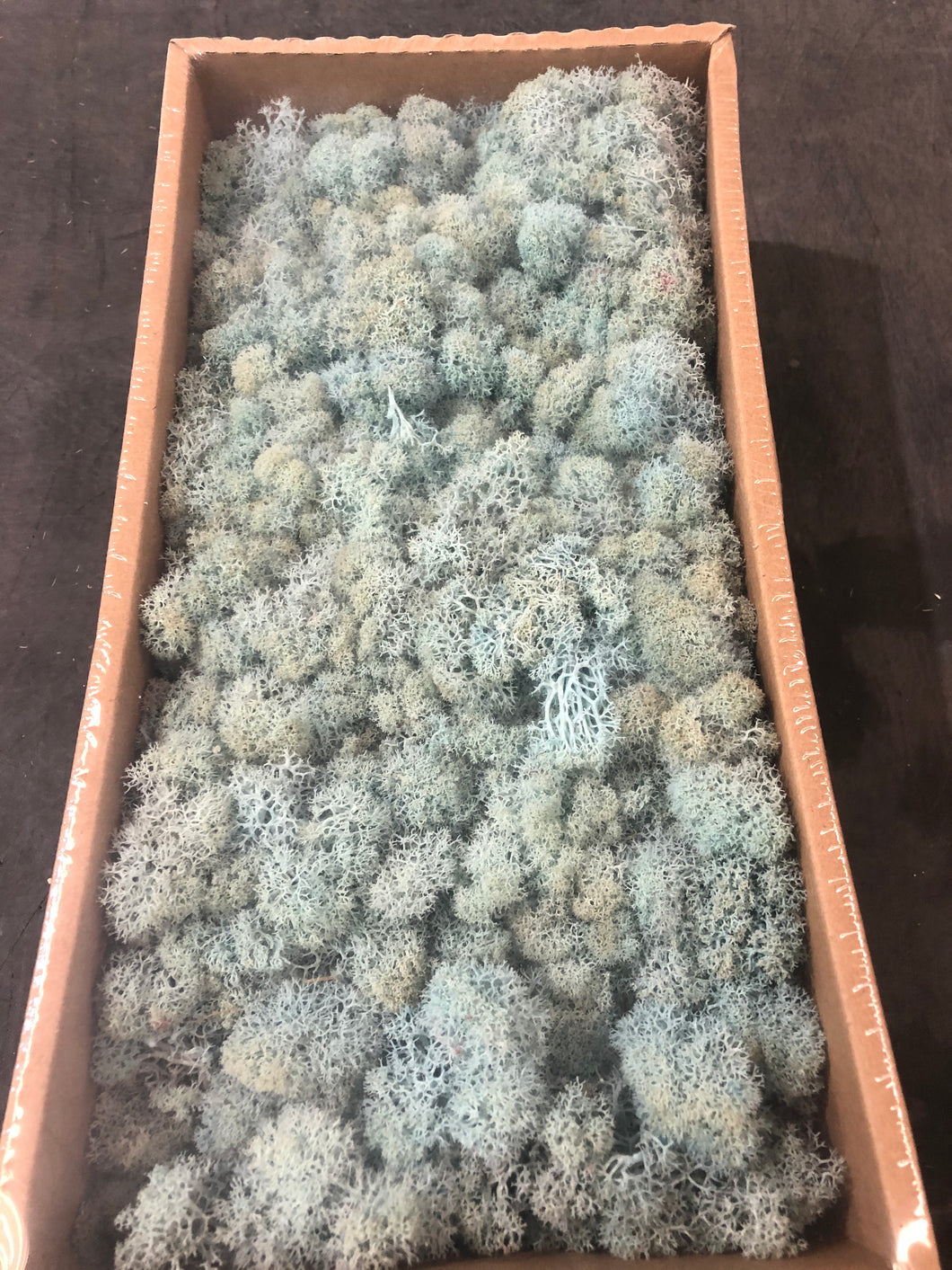 Moss Tiffany Blue - Market Blooms