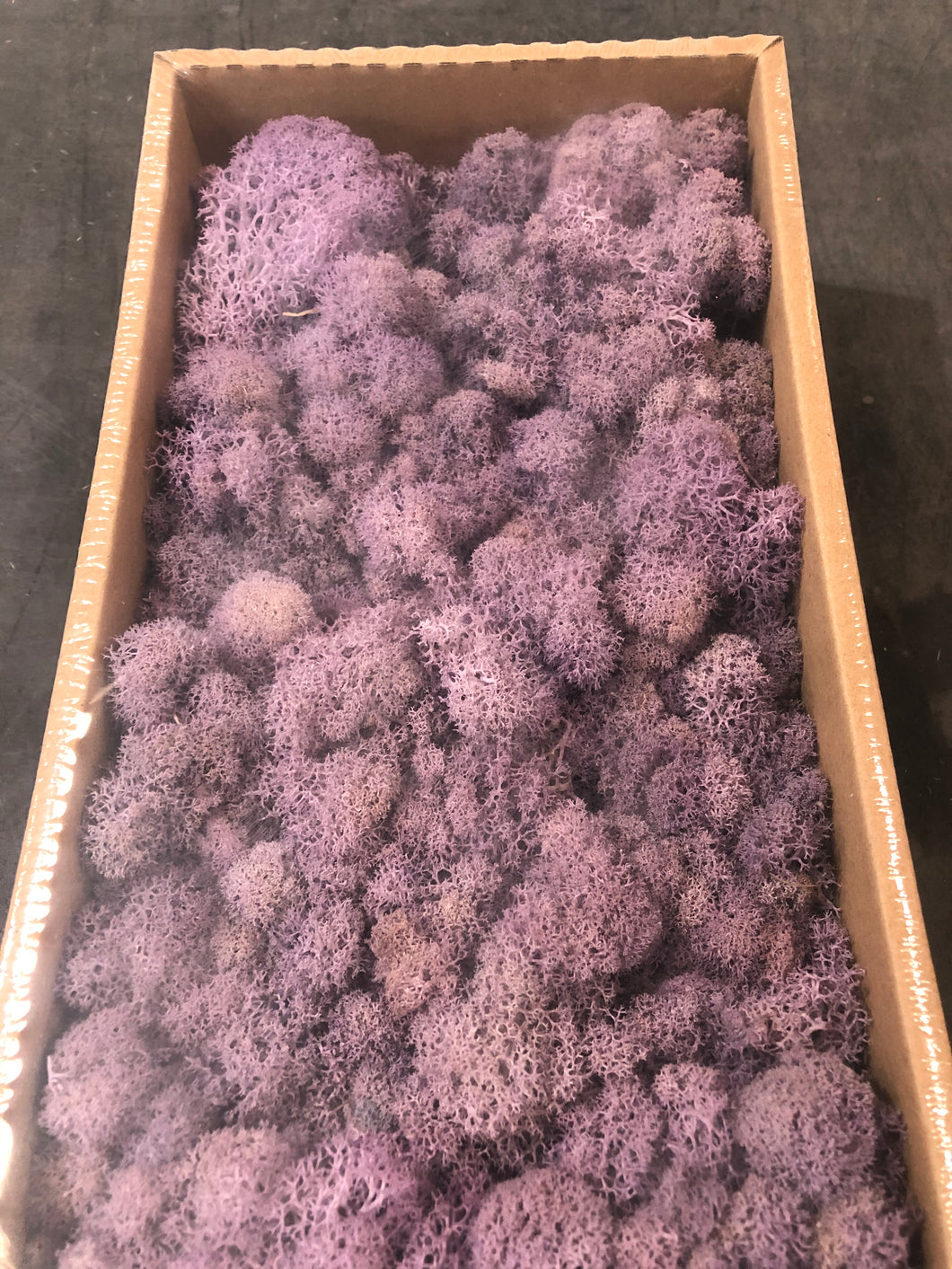 Moss Blue Purple - Market Blooms