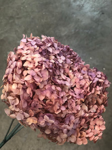 Hydrangea (preserved) 20cm - Pink Purple (Rustic) - Market Blooms
